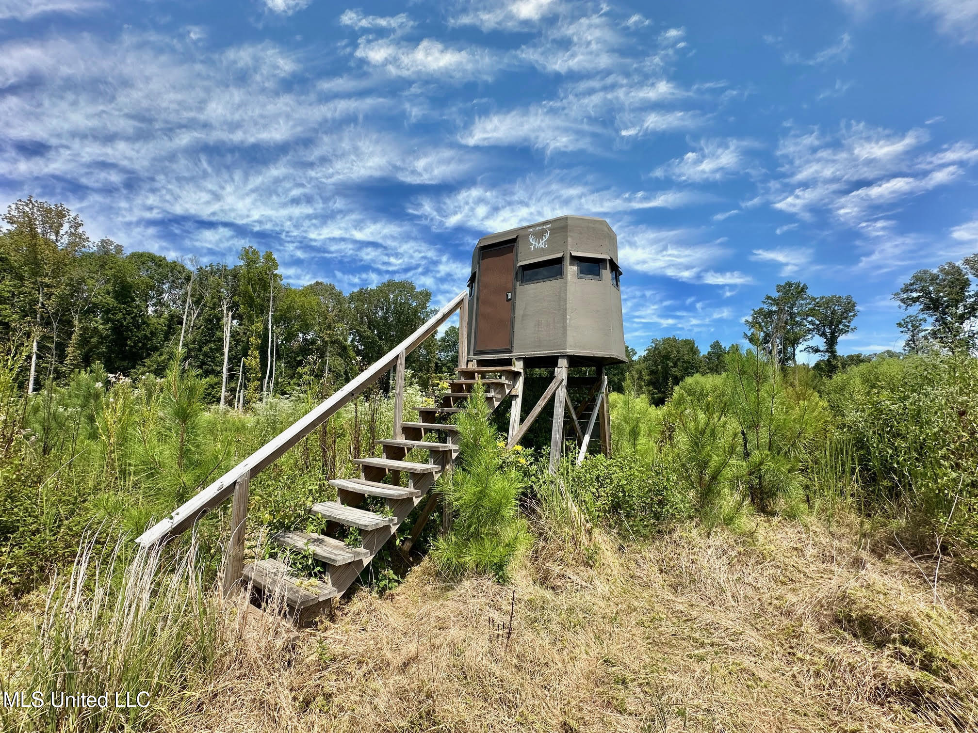 133 Ross Road Camden, MS 39045 - Photo 24 of 63 23