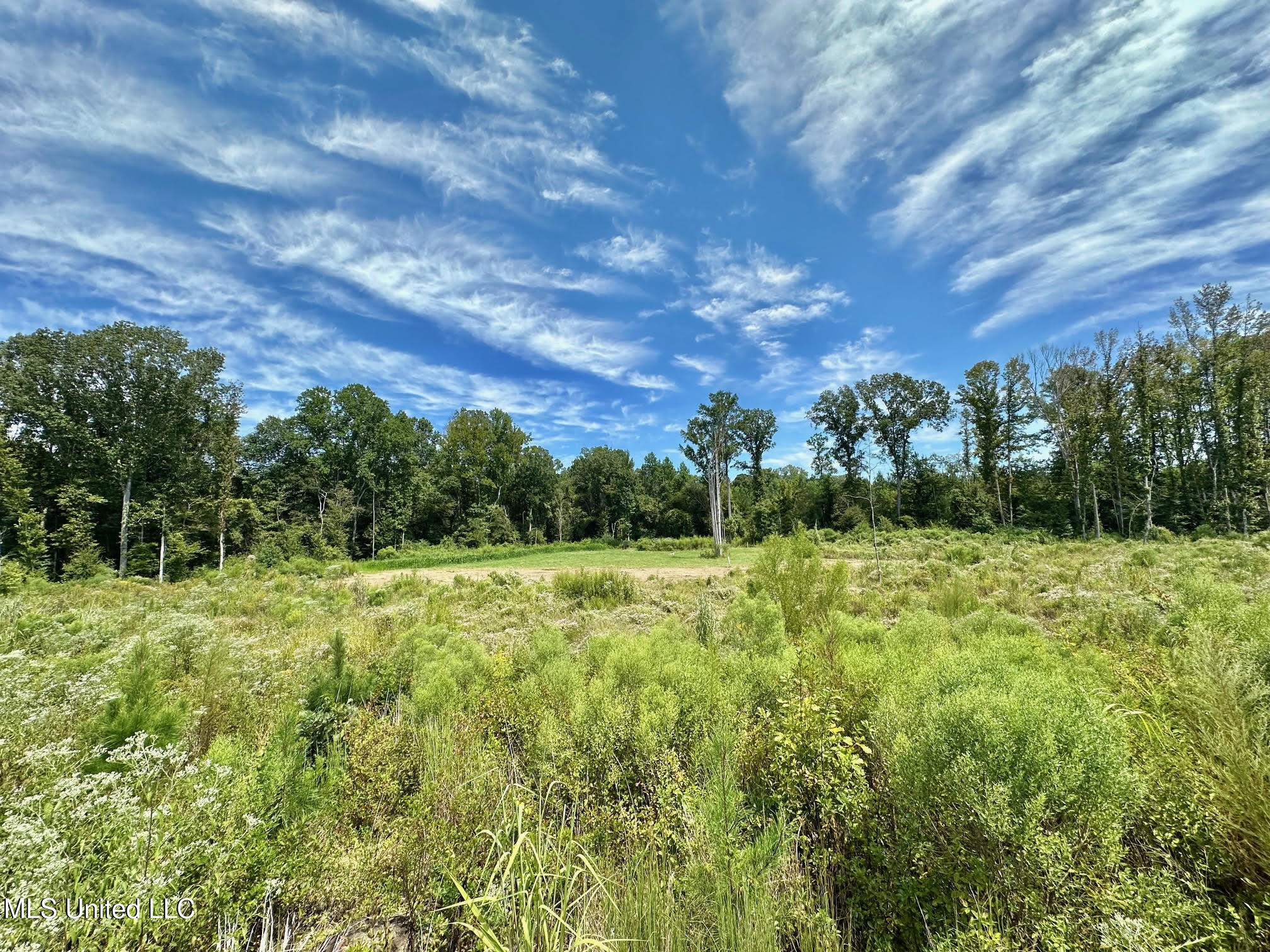 133 Ross Road Camden, MS 39045 - Photo 26 of 63 25