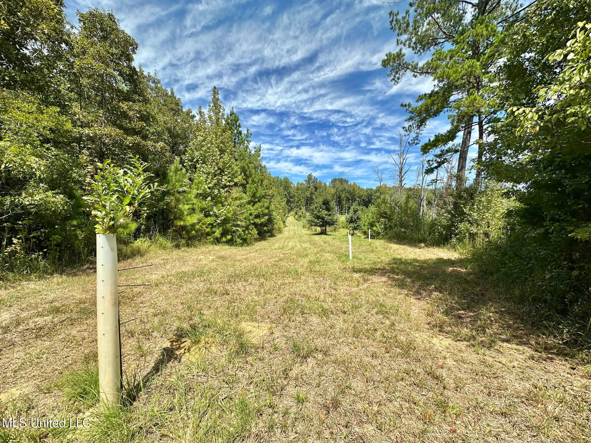 133 Ross Road Camden, MS 39045 - Photo 29 of 63 28