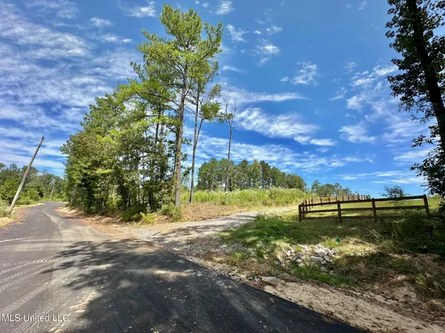 $205,000 | 133 Ross Road, Camden, MS 39045