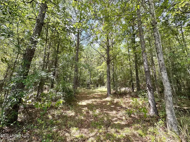 $205,000 | 133 Ross Road, Camden, MS 39045