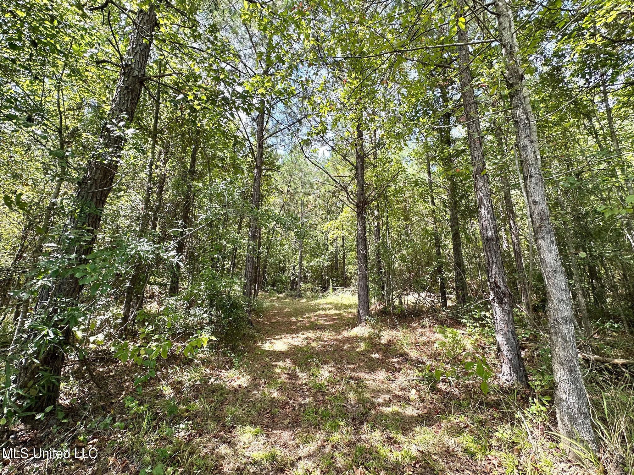 133 Ross Road Camden, MS 39045 - Photo 31 of 63 30