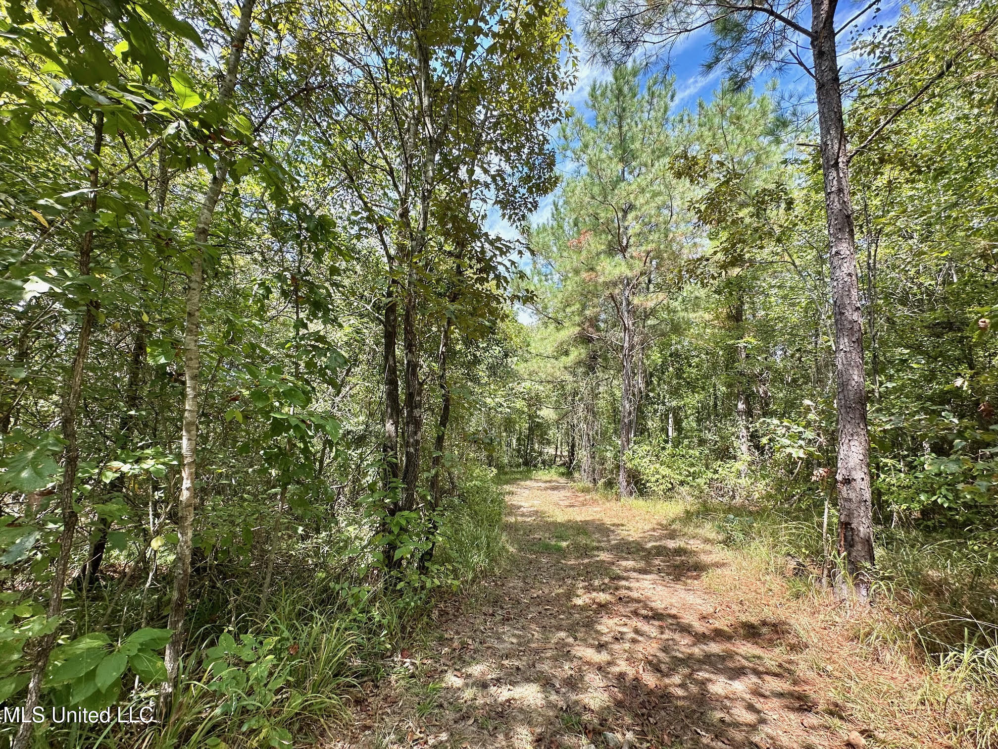 133 Ross Road Camden, MS 39045 - Photo 32 of 63 31