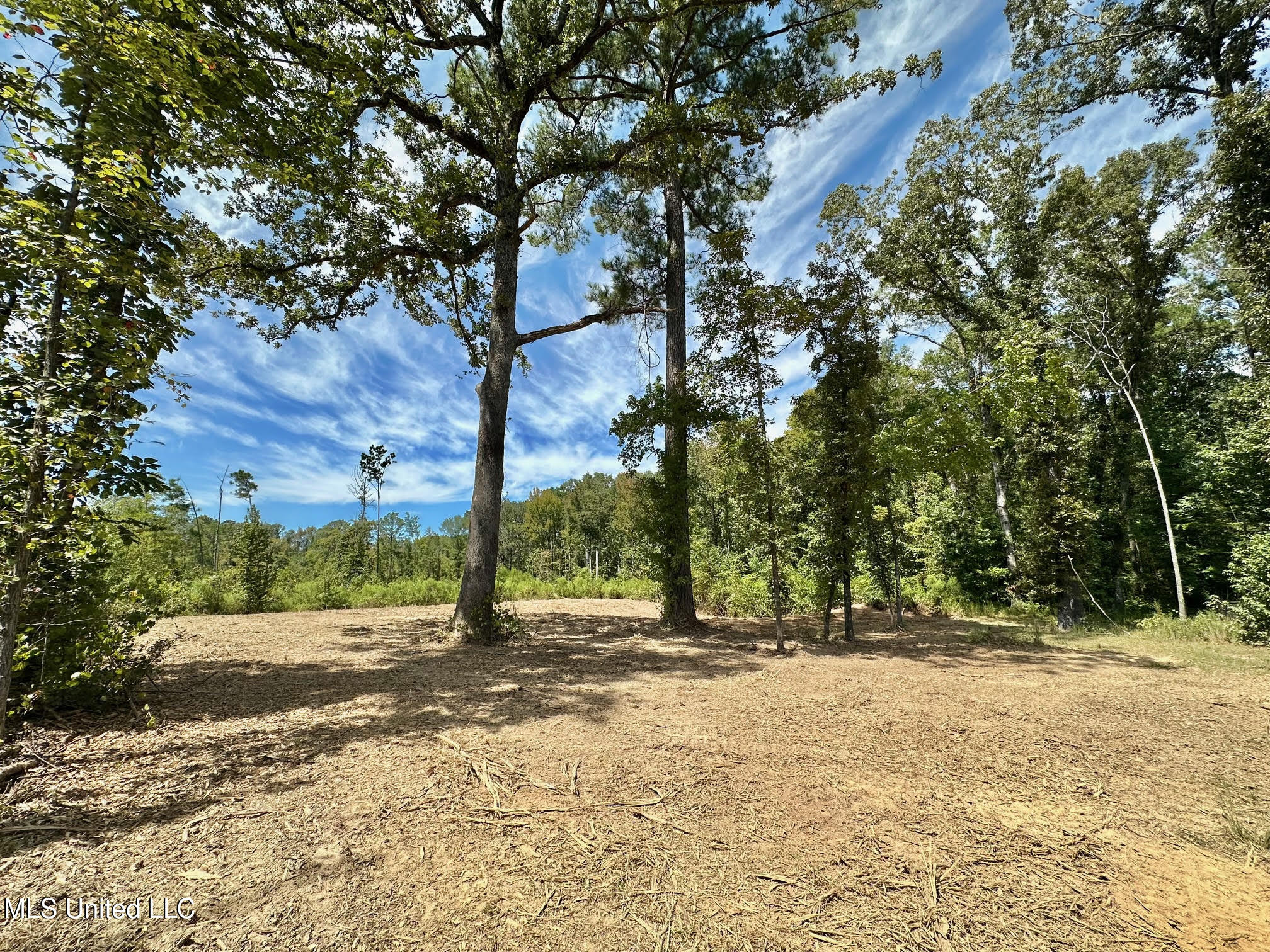 133 Ross Road Camden, MS 39045 - Photo 34 of 63 33