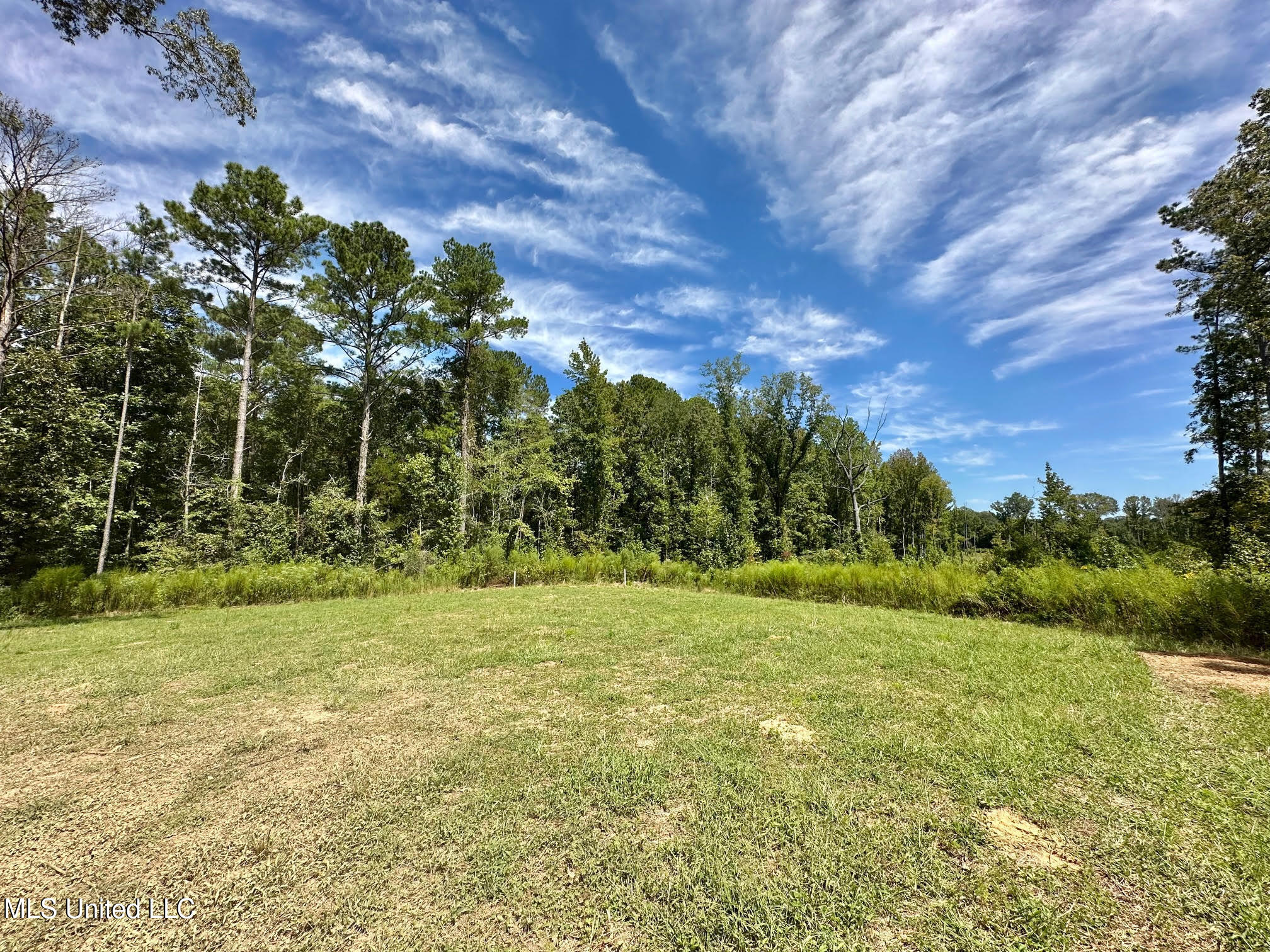 133 Ross Road Camden, MS 39045 - Photo 35 of 63 34
