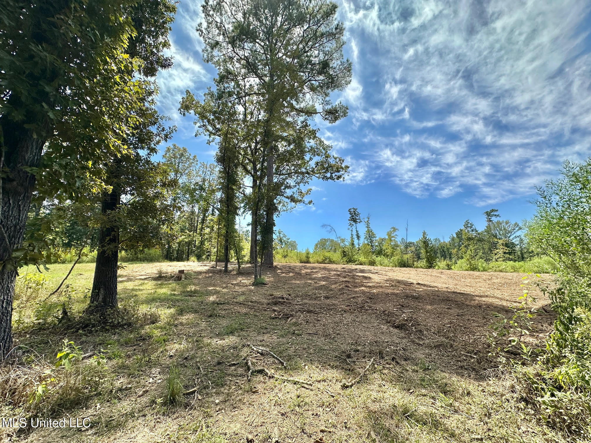 133 Ross Road Camden, MS 39045 - Photo 36 of 63 35