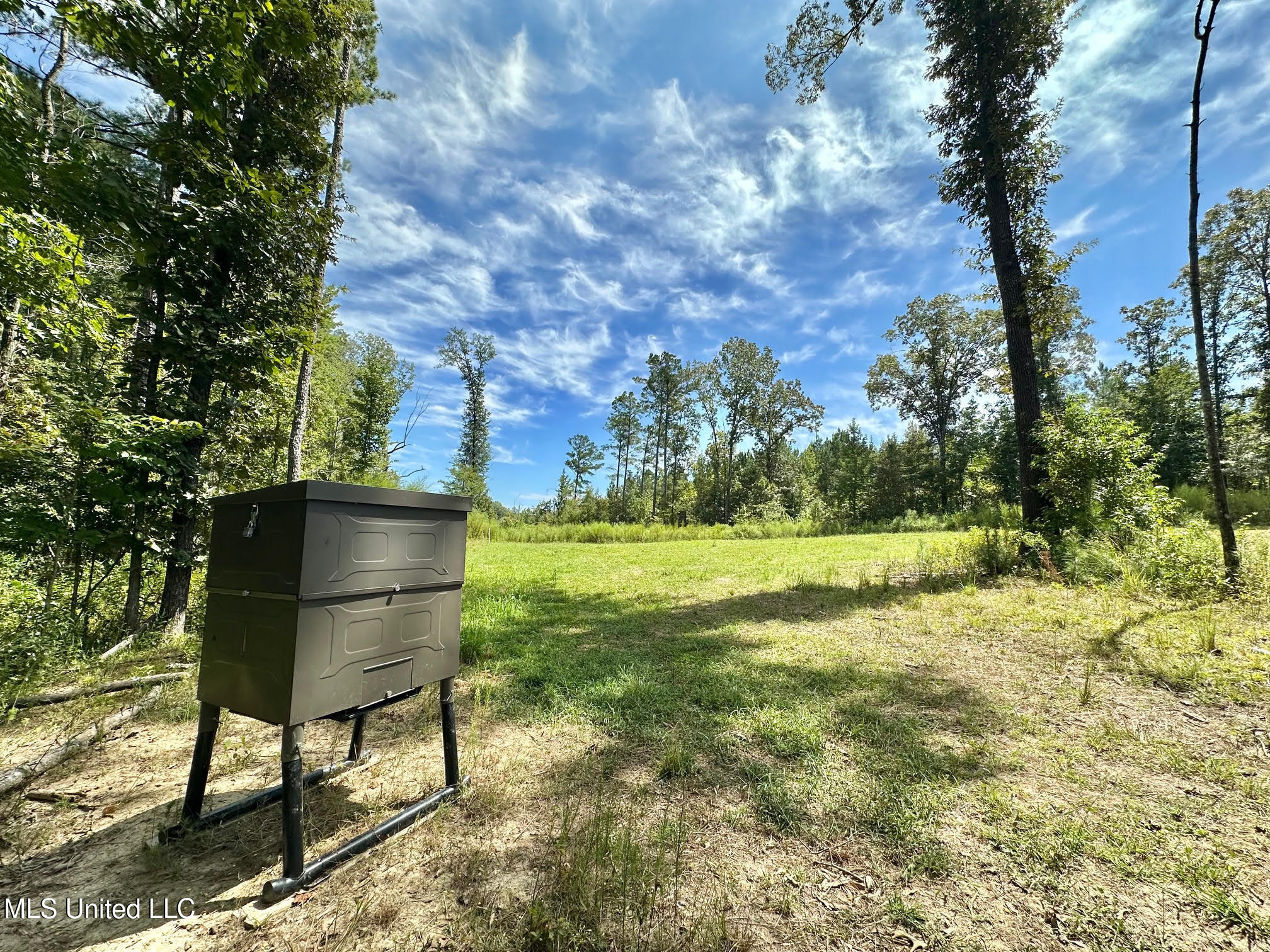 133 Ross Road Camden, MS 39045 - Photo 37 of 63 36