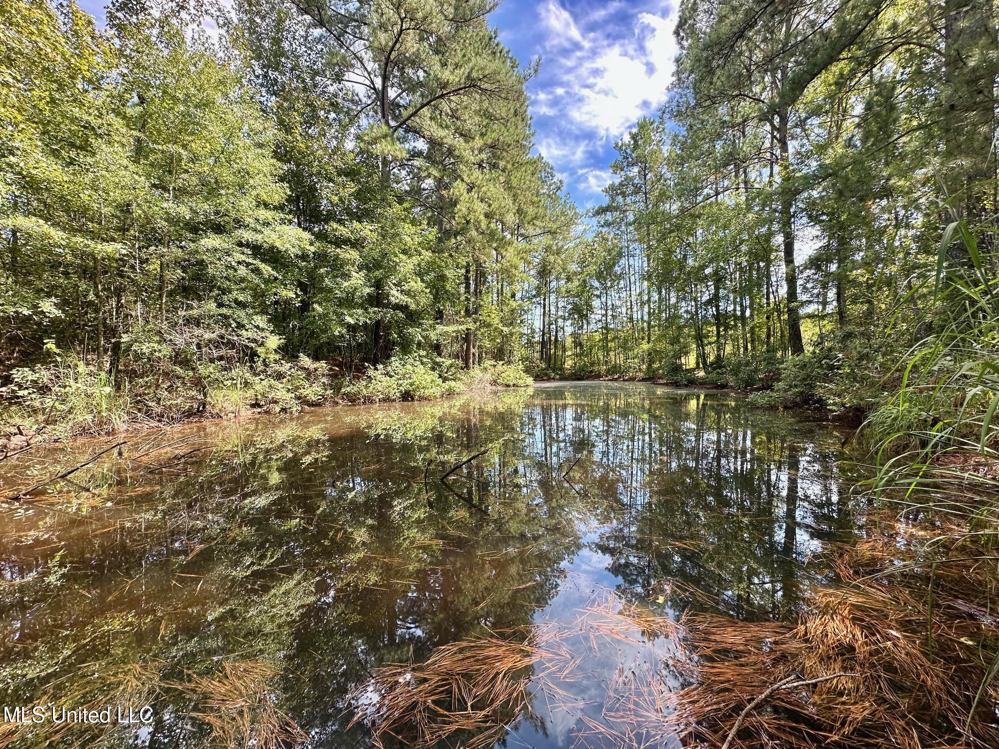 133 Ross Road Camden, MS 39045 - Photo 38 of 63 37