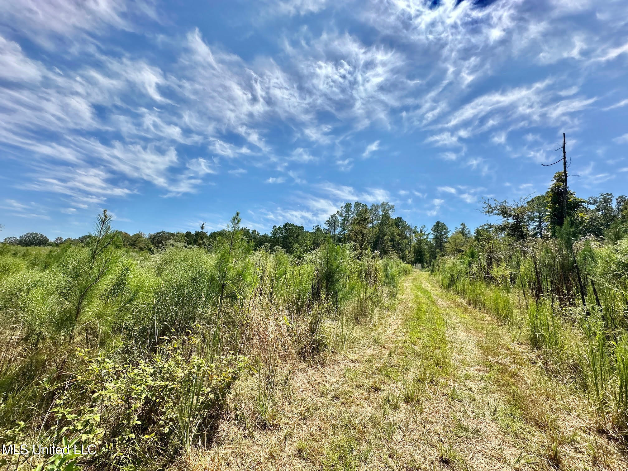 133 Ross Road Camden, MS 39045 - Photo 41 of 63 40