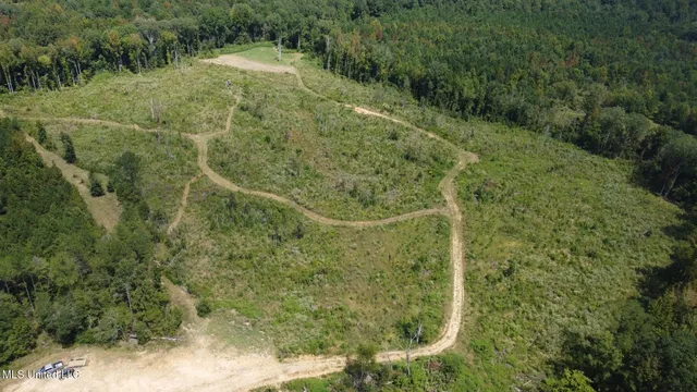 $205,000 | 133 Ross Road, Camden, MS 39045