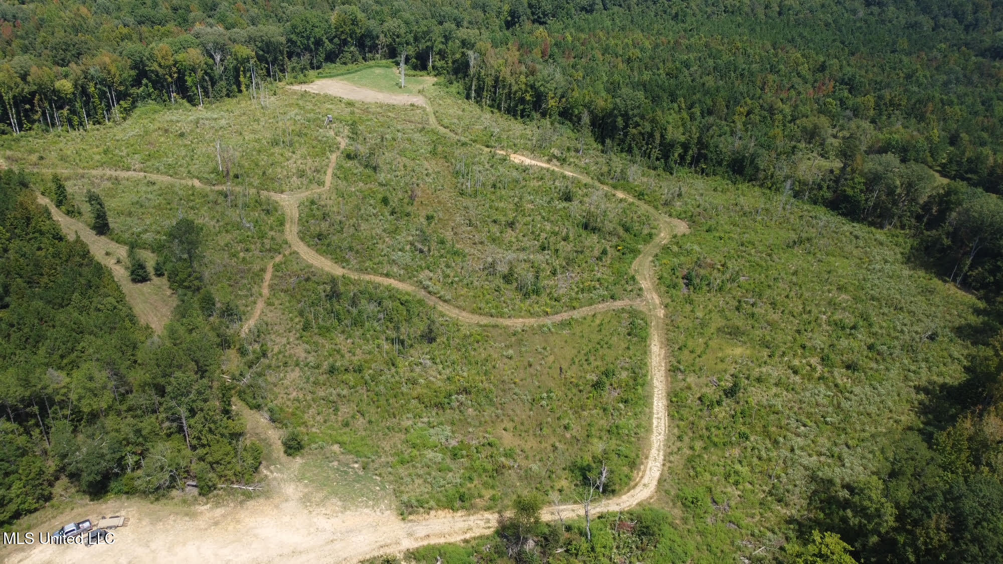 133 Ross Road Camden, MS 39045 - Photo 45 of 63 44