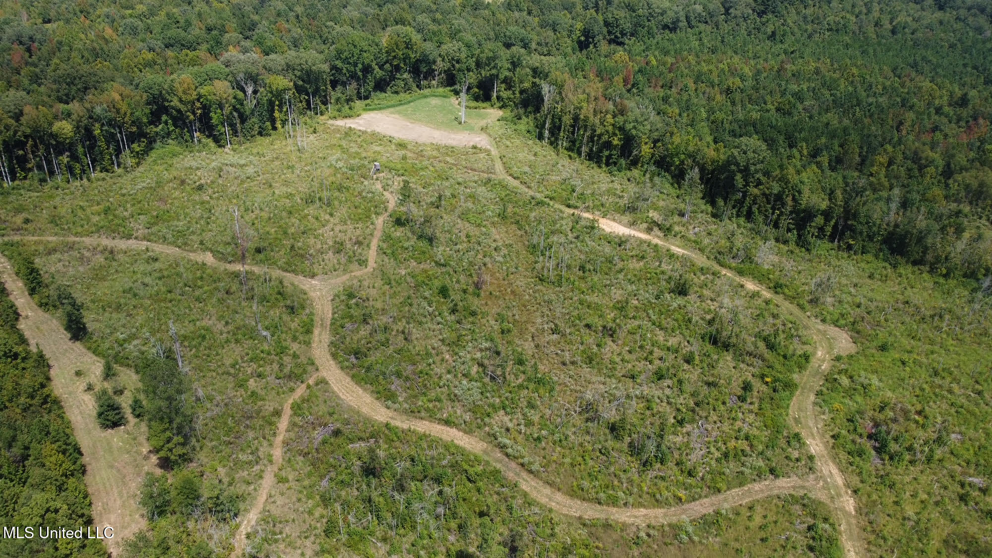 133 Ross Road Camden, MS 39045 - Photo 46 of 63 45