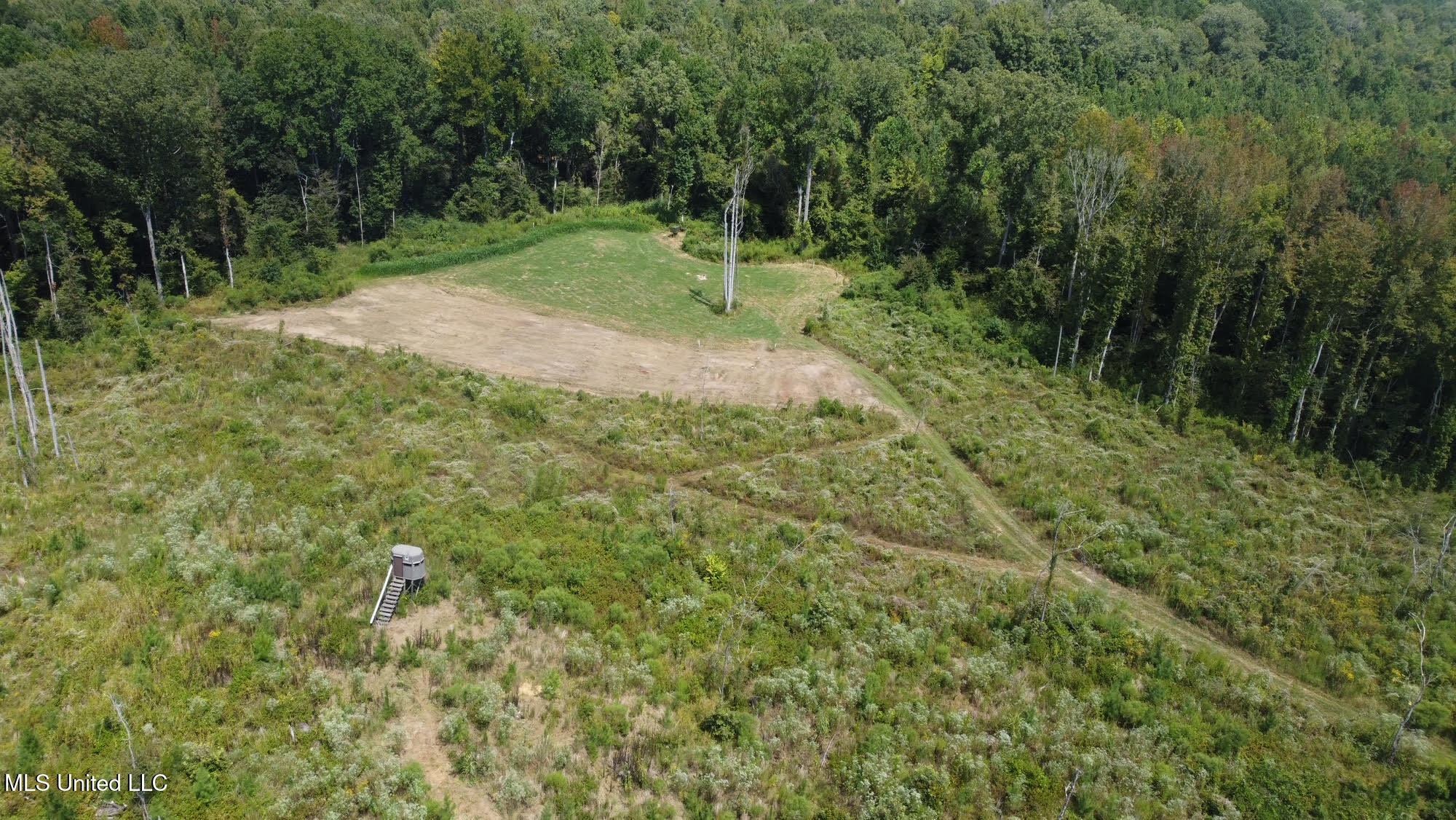 133 Ross Road Camden, MS 39045 - Photo 47 of 63 46
