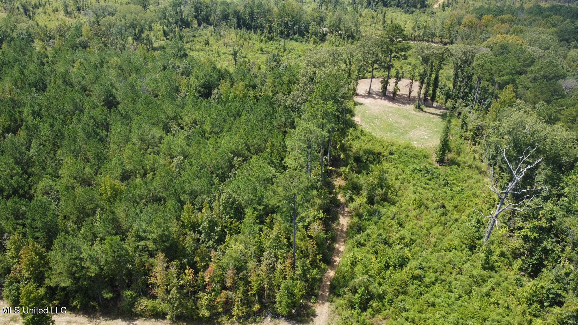 133 Ross Road Camden, MS 39045 - Photo 48 of 63 47