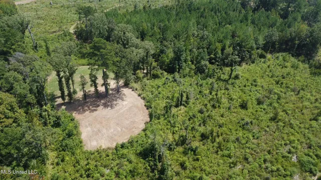 $205,000 | 133 Ross Road, Camden, MS 39045