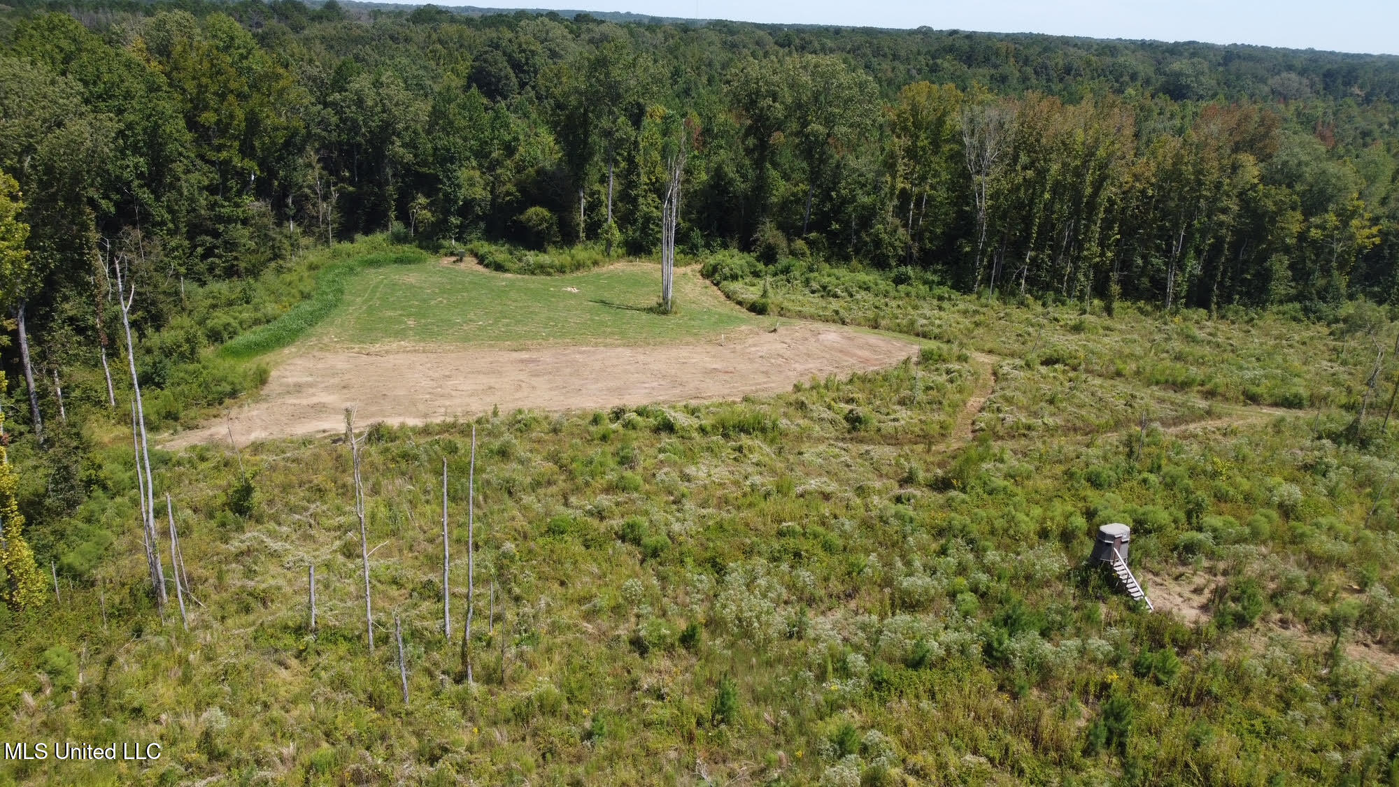 133 Ross Road Camden, MS 39045 - Photo 52 of 63 51