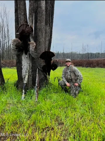 $205,000 | 133 Ross Road, Camden, MS 39045