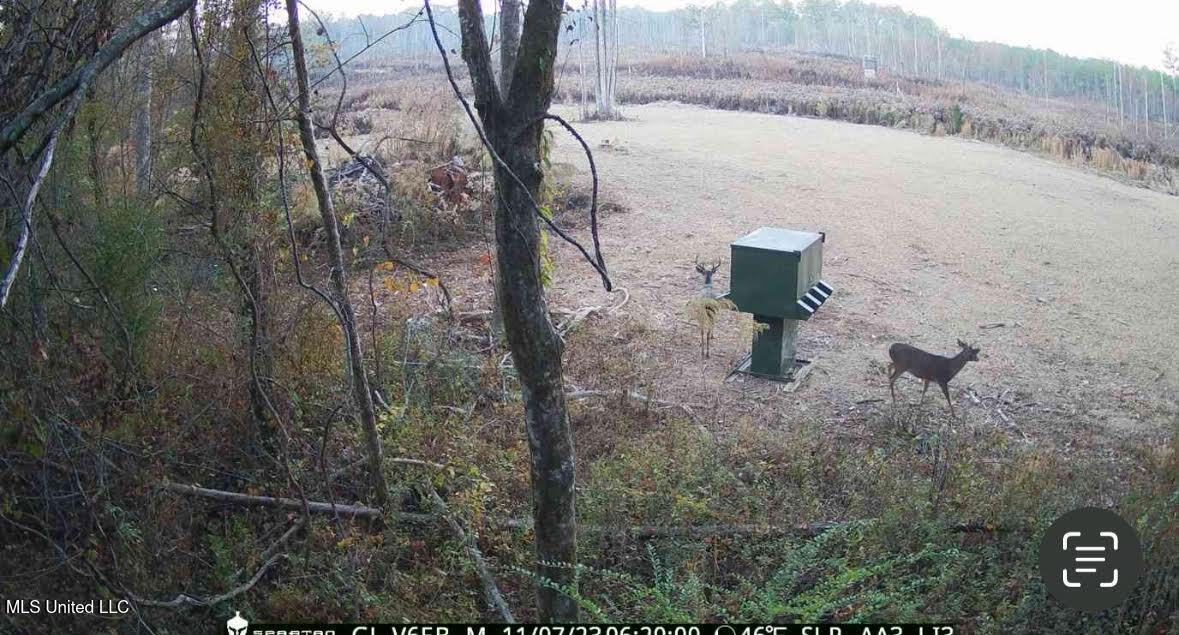 133 Ross Road Camden, MS 39045 - Photo 57 of 63 56