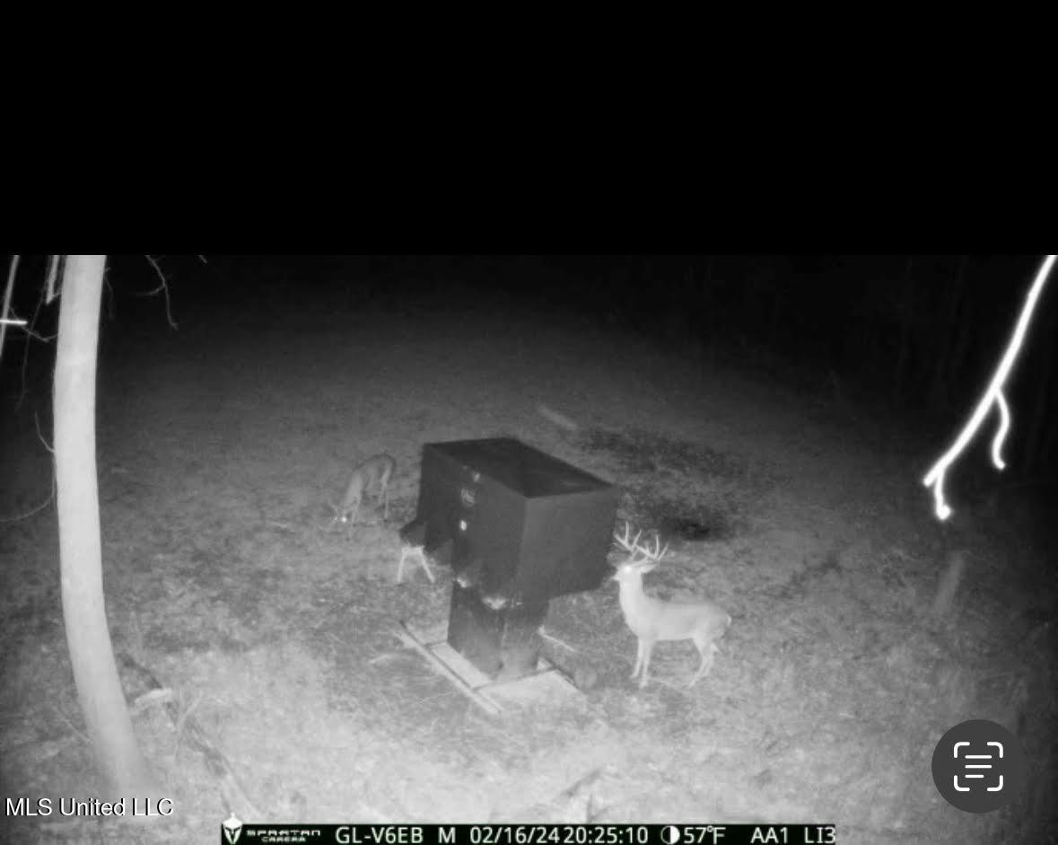 133 Ross Road Camden, MS 39045 - Photo 58 of 63 57