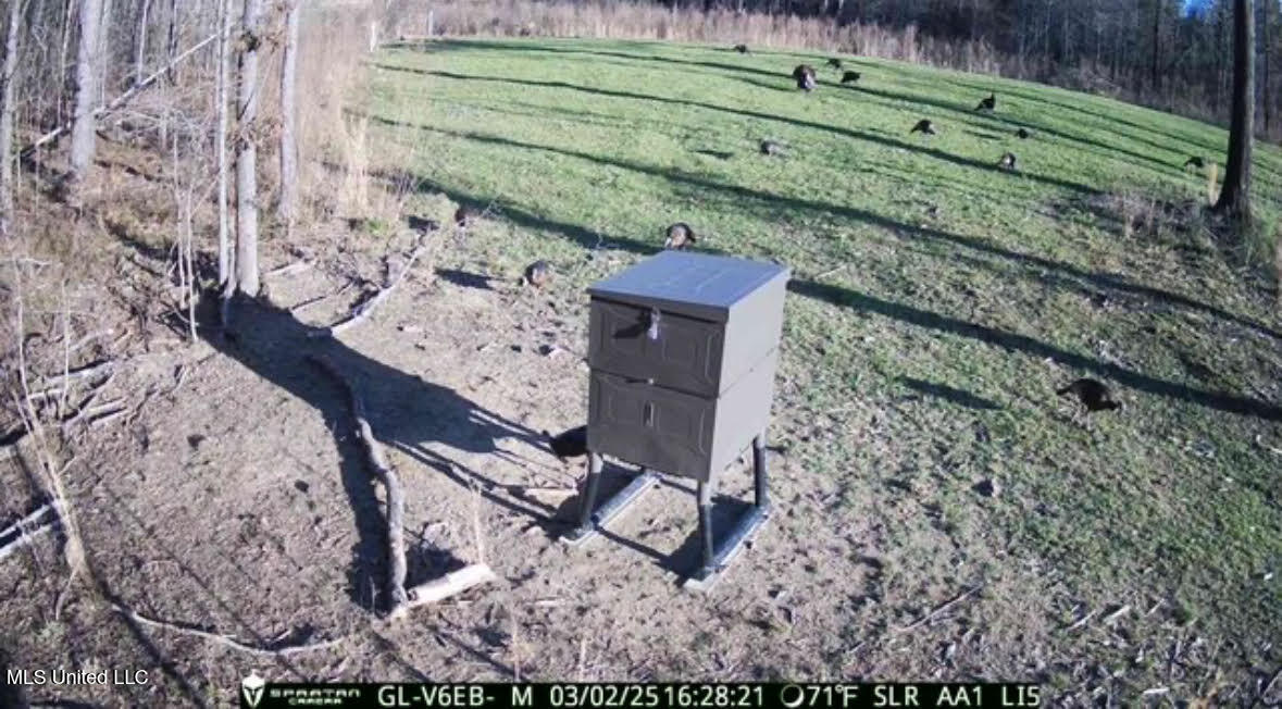 133 Ross Road Camden, MS 39045 - Photo 59 of 63 58