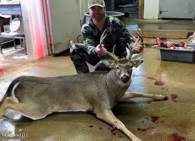 $205,000 | 133 Ross Road, Camden, MS 39045