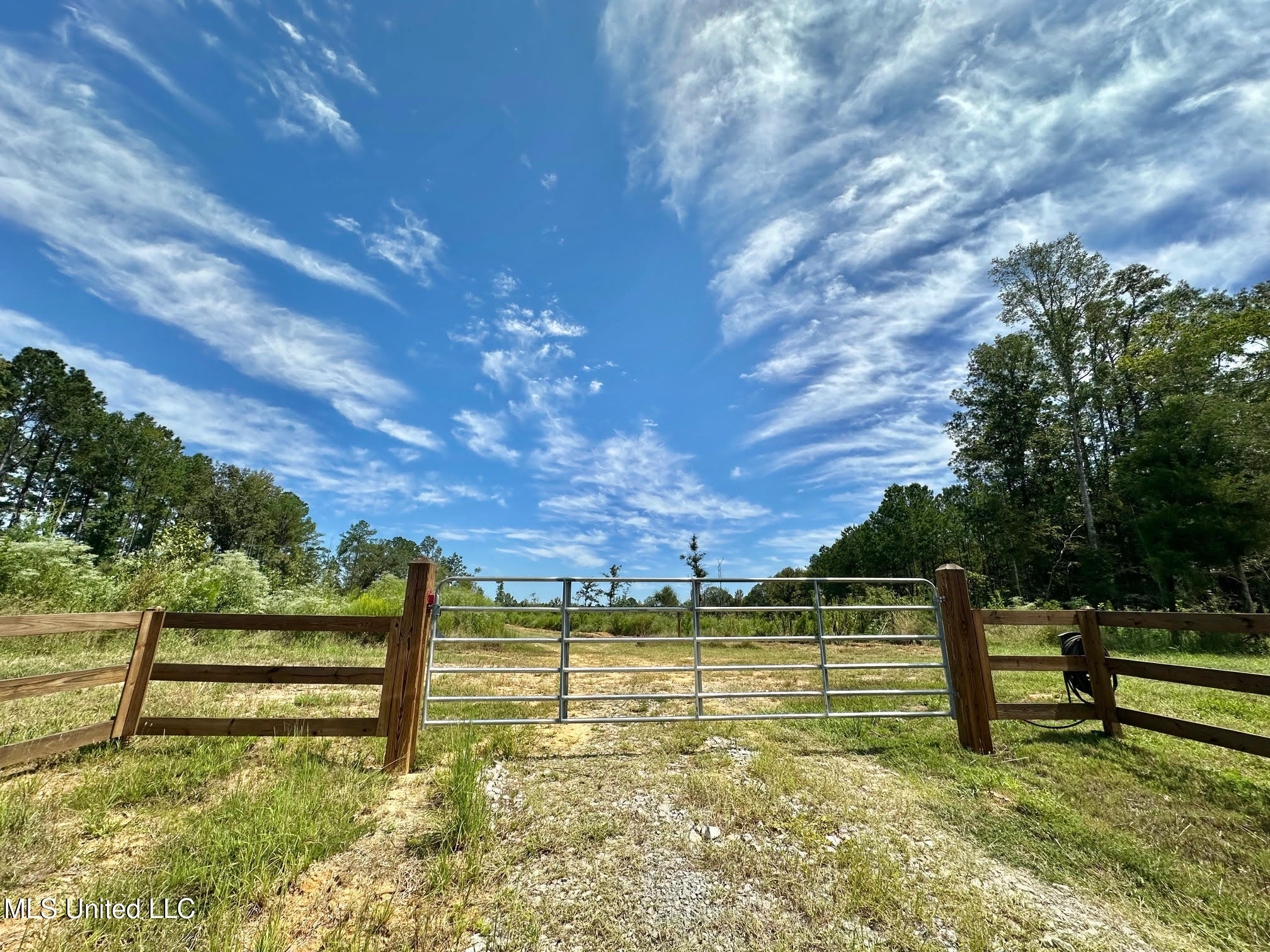 133 Ross Road Camden, MS 39045 - Photo 6 of 63 5