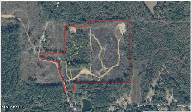 133 Ross Road Camden, MS 39045 - Photo 61 of 63 60