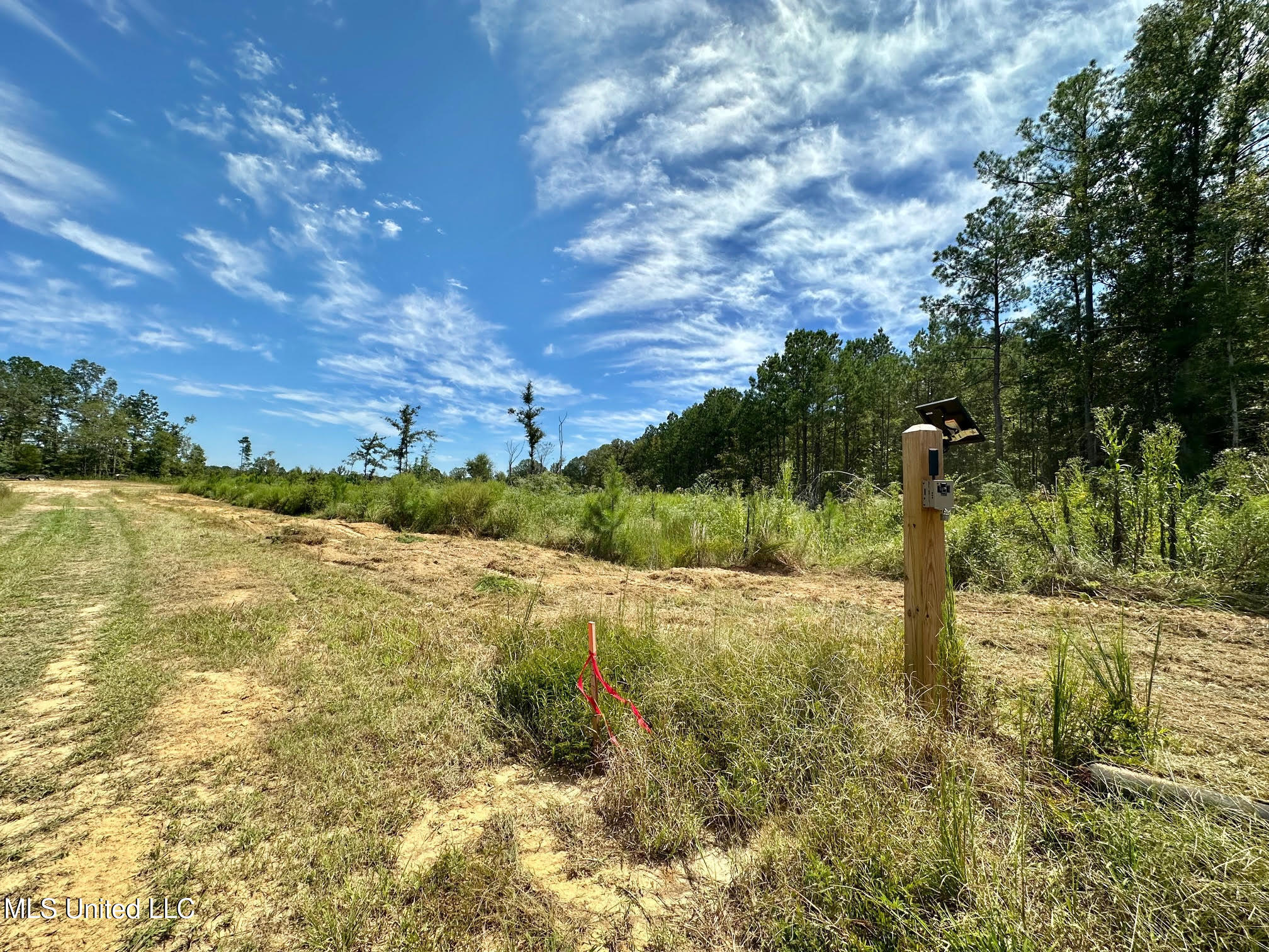 133 Ross Road Camden, MS 39045 - Photo 8 of 63 7