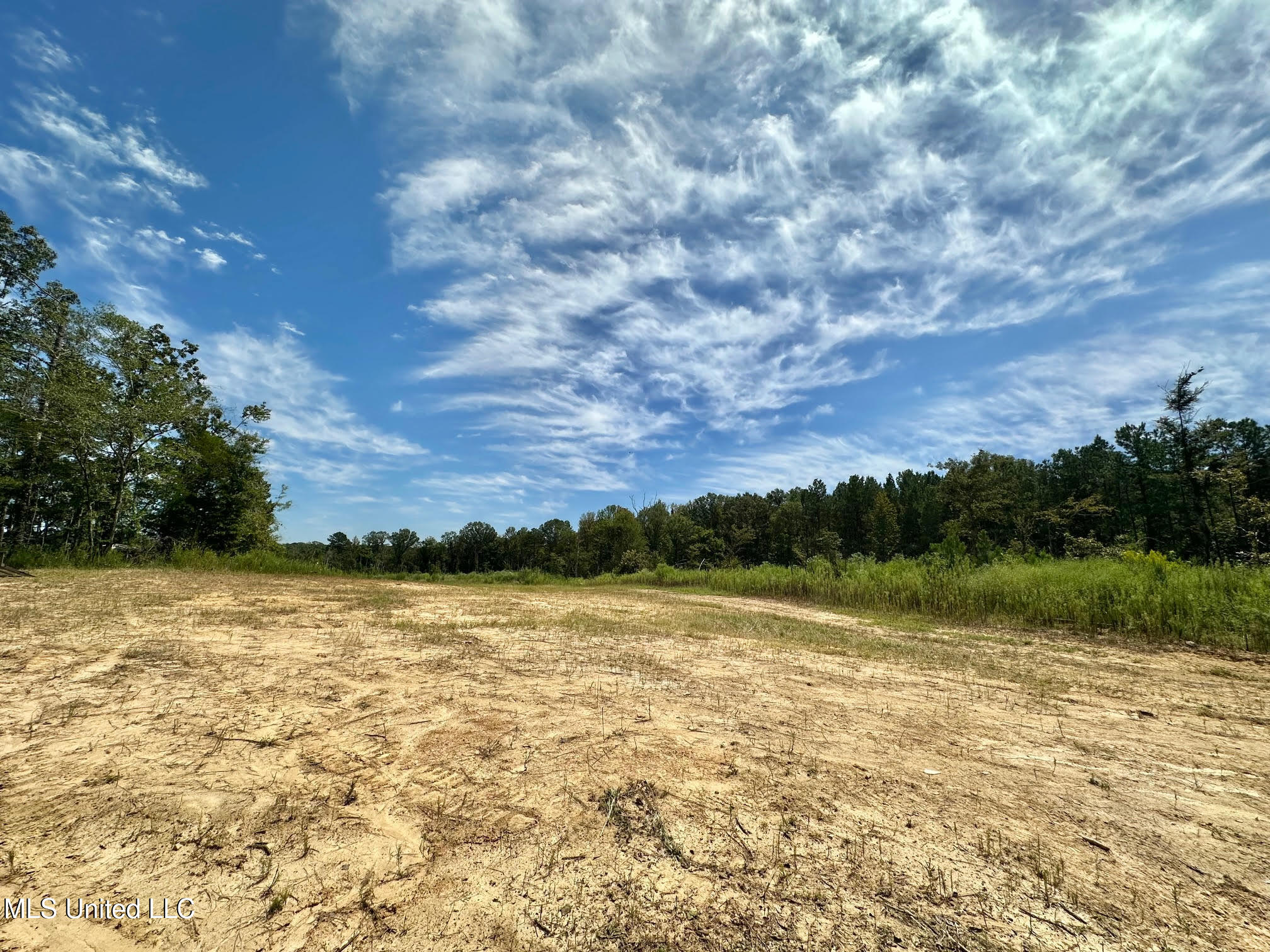 133 Ross Road Camden, MS 39045 - Photo 9 of 63 8