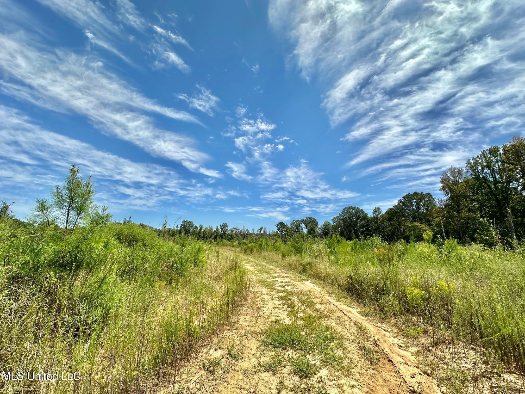 133 Ross Road Camden, MS 39045 - Photo 10 of 63 9