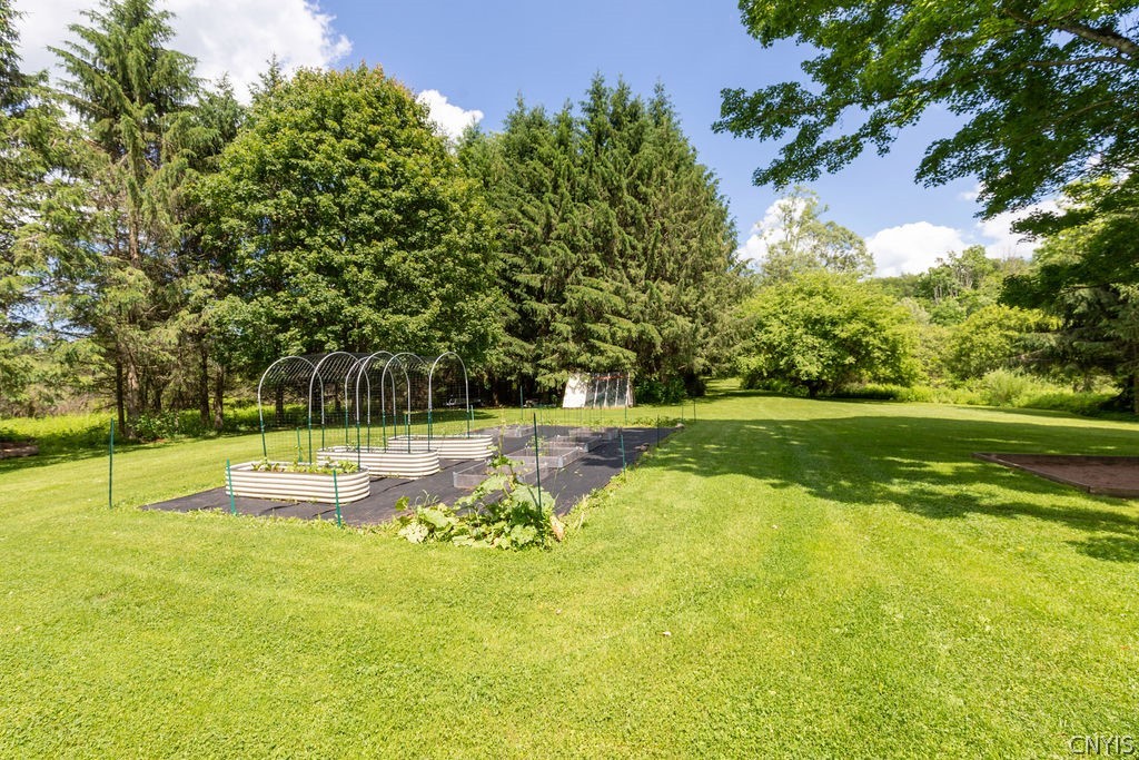 4124 Nelson Road Nelson, NY 13035 - Photo 44 of 49