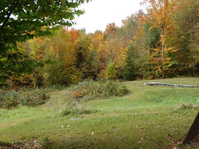 1100 Davis Road Brighton, VT 05846 - Photo 8 of 16 Gallery Image 8
