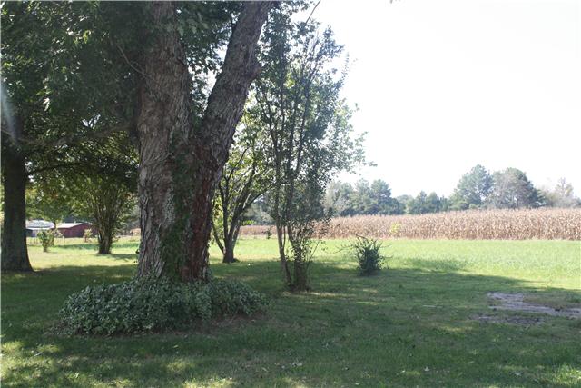 115 Sears Roebuck Road Tullahoma, TN 37388 - Photo 15 of 18 Lots of mature trees and the property backs up to an empty field.