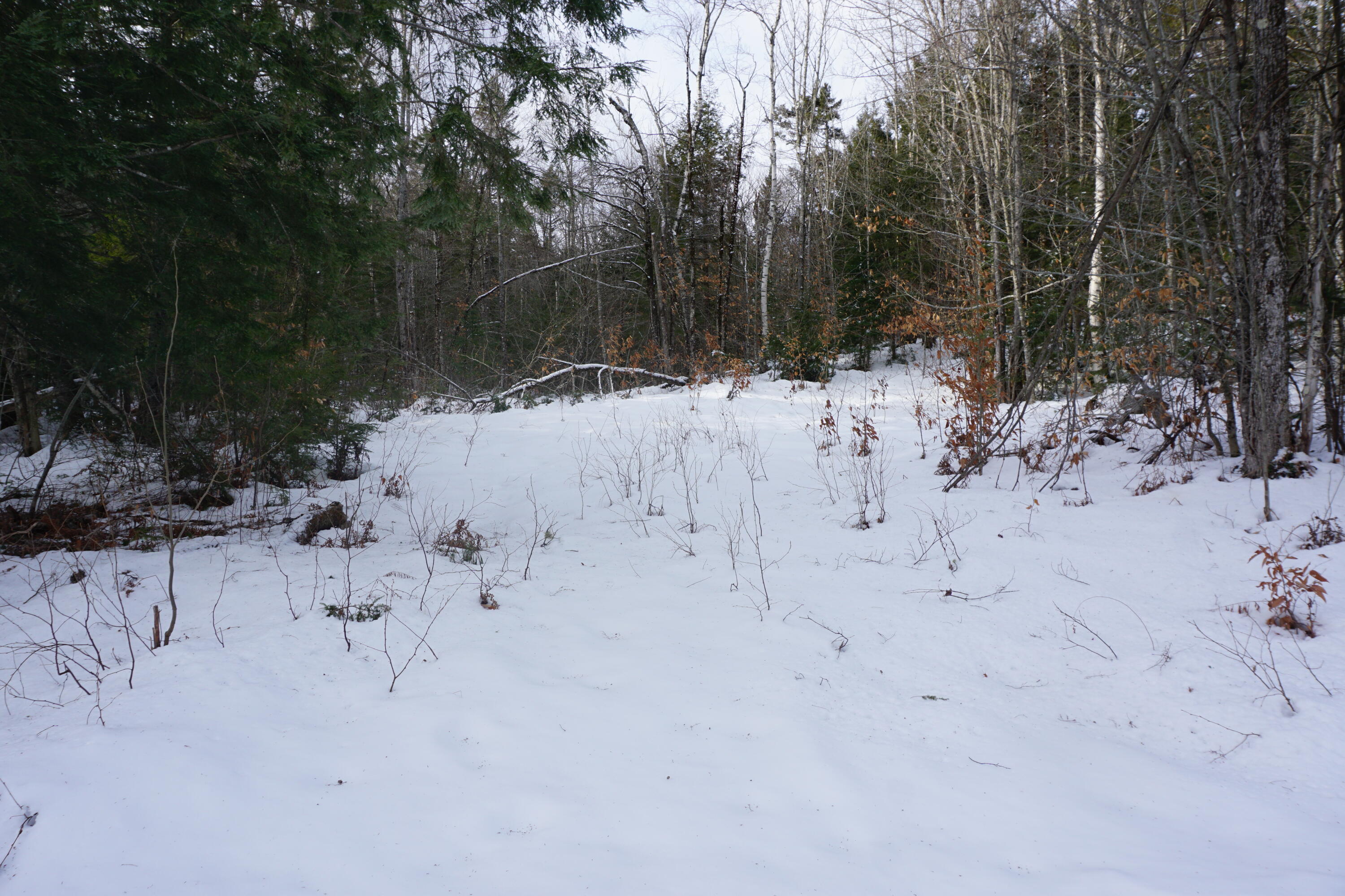 1 Redding Road Sumner, ME 04292 - Photo 7 of 21