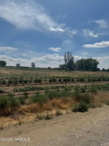a view of a big yard with lots of green space