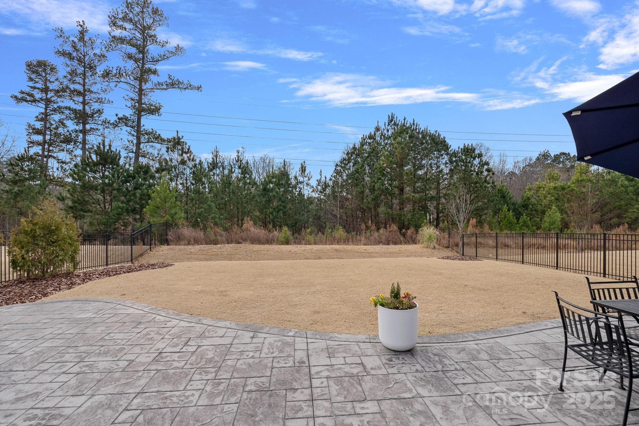 2253 Masons Bend Drive Fort Mill, SC 29708 - Photo 40 of 48 a backyard of a house with table and chairs