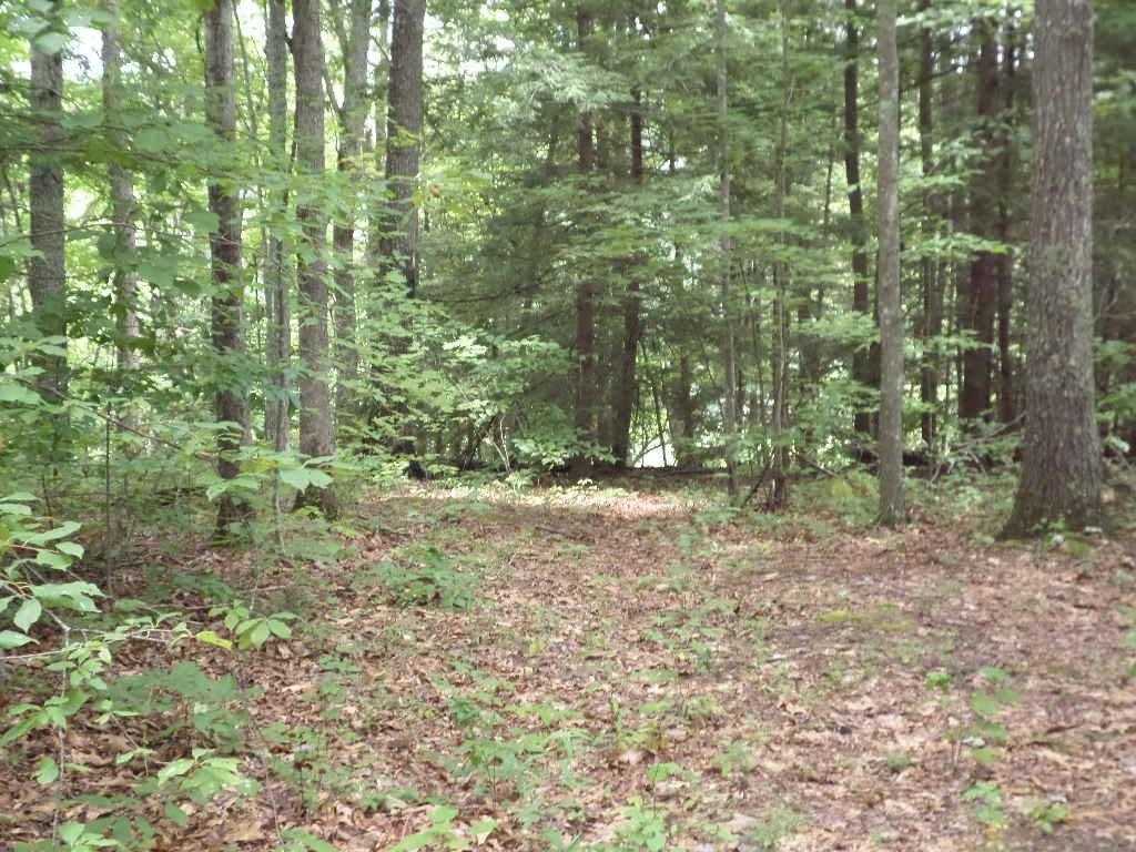 844 Adams Acres Road Wellington, KY 40387 - Photo 6 of 17 Photo 6