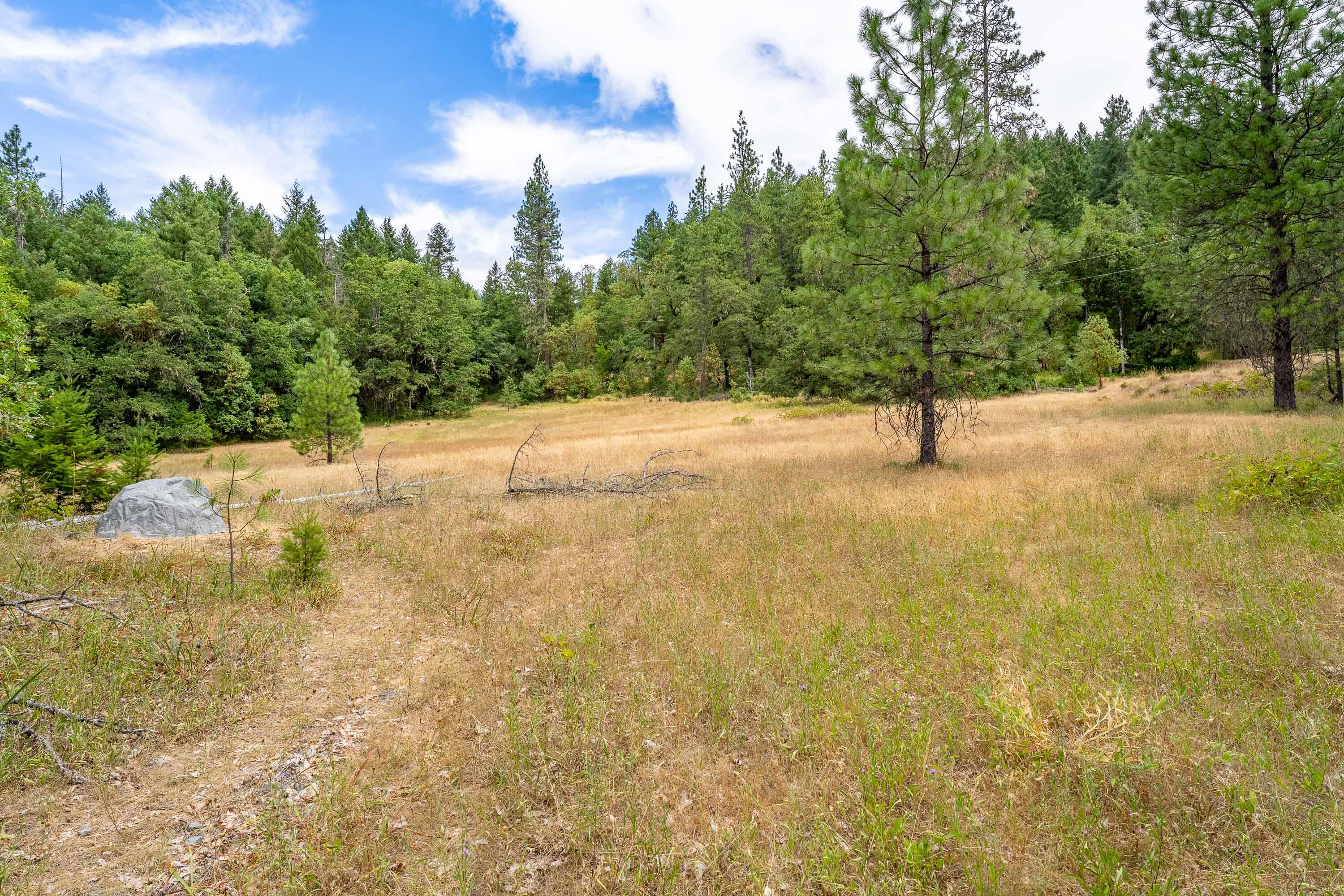 0 Happy Camp Road Cave Junction, OR 97523 - Photo 7 of 48 Pasture