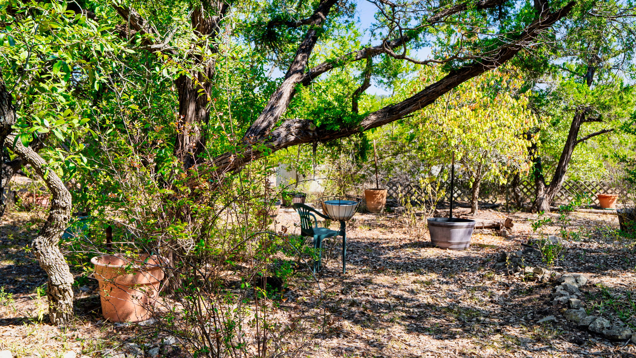 601 Hays Country Acres Road Dripping Springs, TX 78620 - Photo 29 of 35