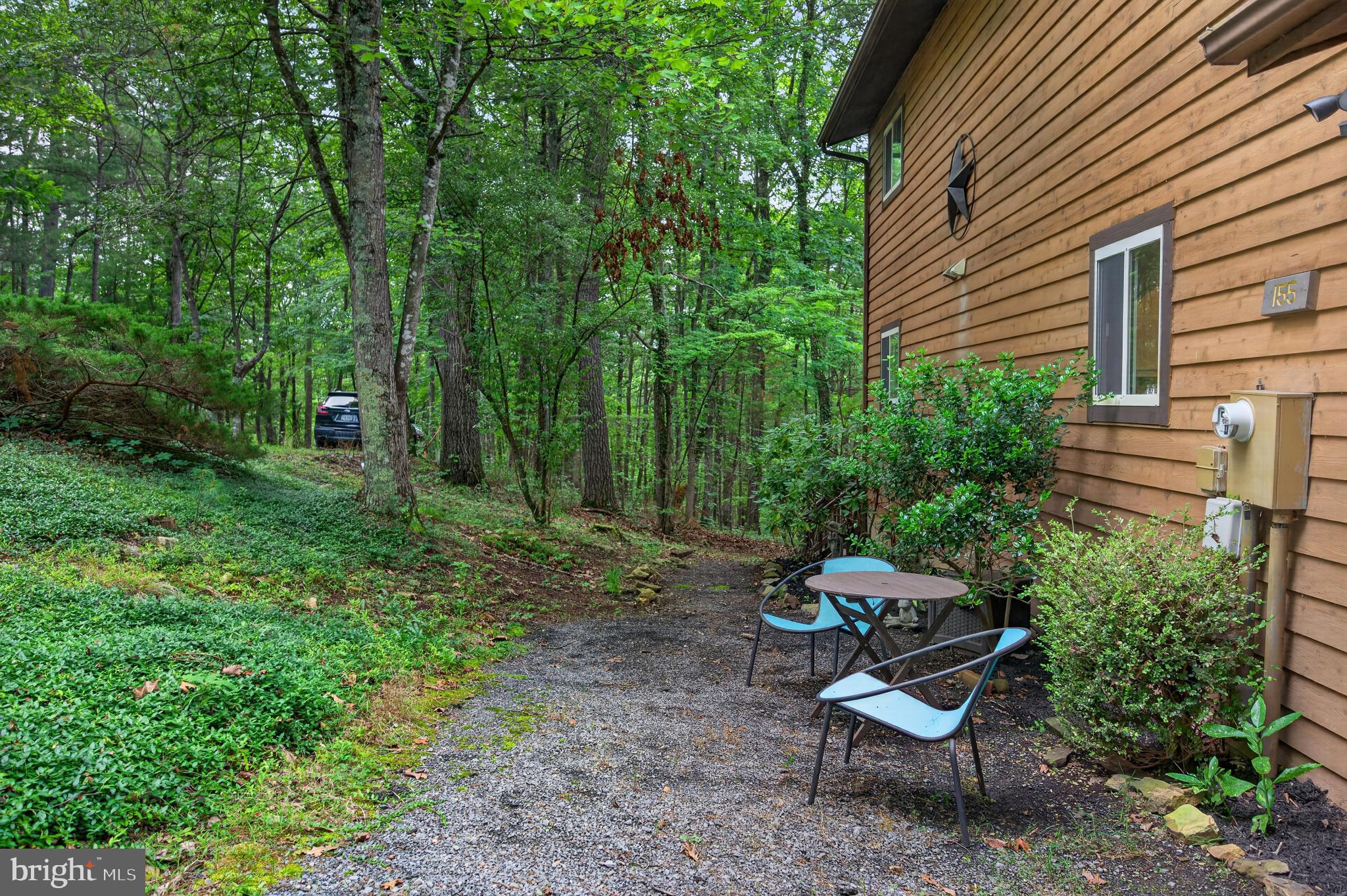 155 Beech Road Mount Jackson, VA 22842 - Photo 4 of 54