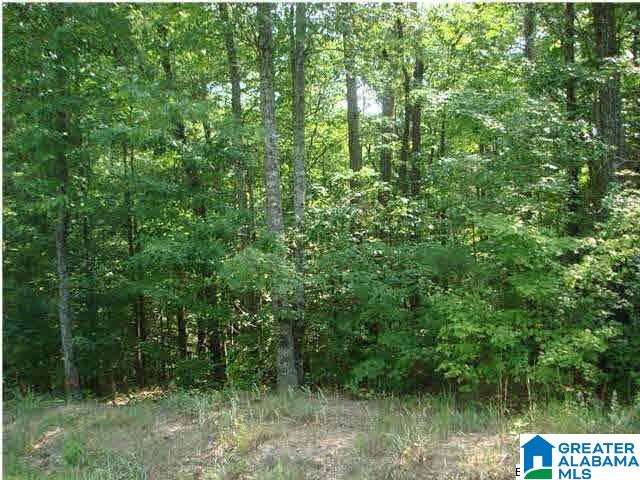 0 Duke School Road, Unit 10 AC Wellington, AL 36279 - Photo 1 of 1
