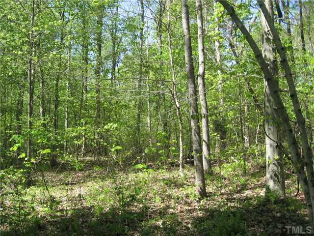 0 John D Winstead Road, Unit B Roxboro, NC 27574 - Photo 6 of 6 a view of a yard