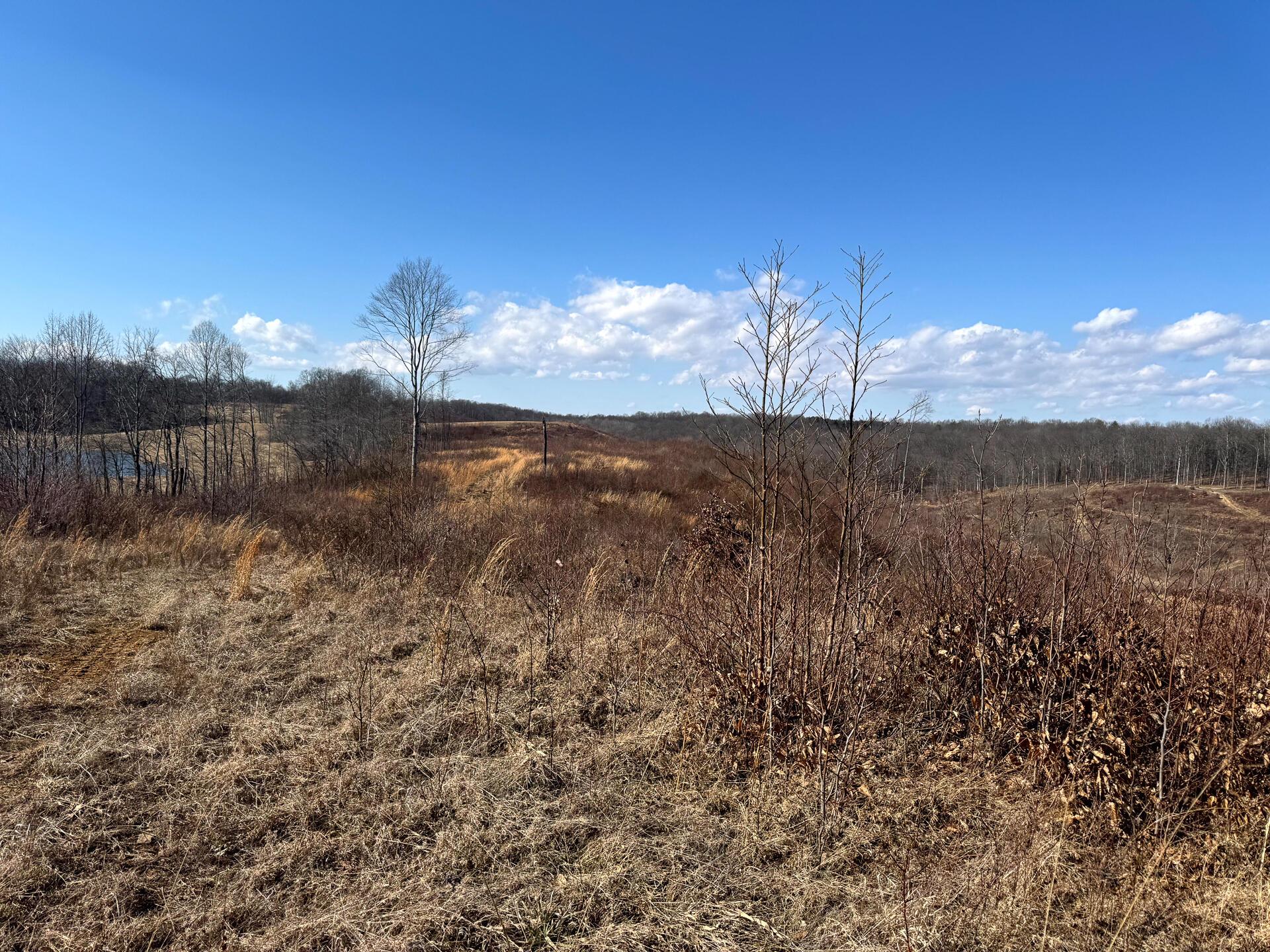 0 Sulphur Spring Road Southeast, Unit 105 ACRE SULPHUR SPRINGS) New Lexington, OH 43764 - Photo 3 of 30 CT-3