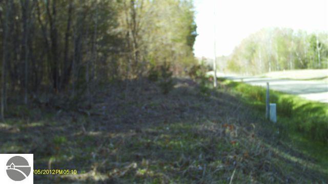 Healey Lake Road Thompsonville, MI 49683 - Photo 13 of 14 1735748-14.JPG