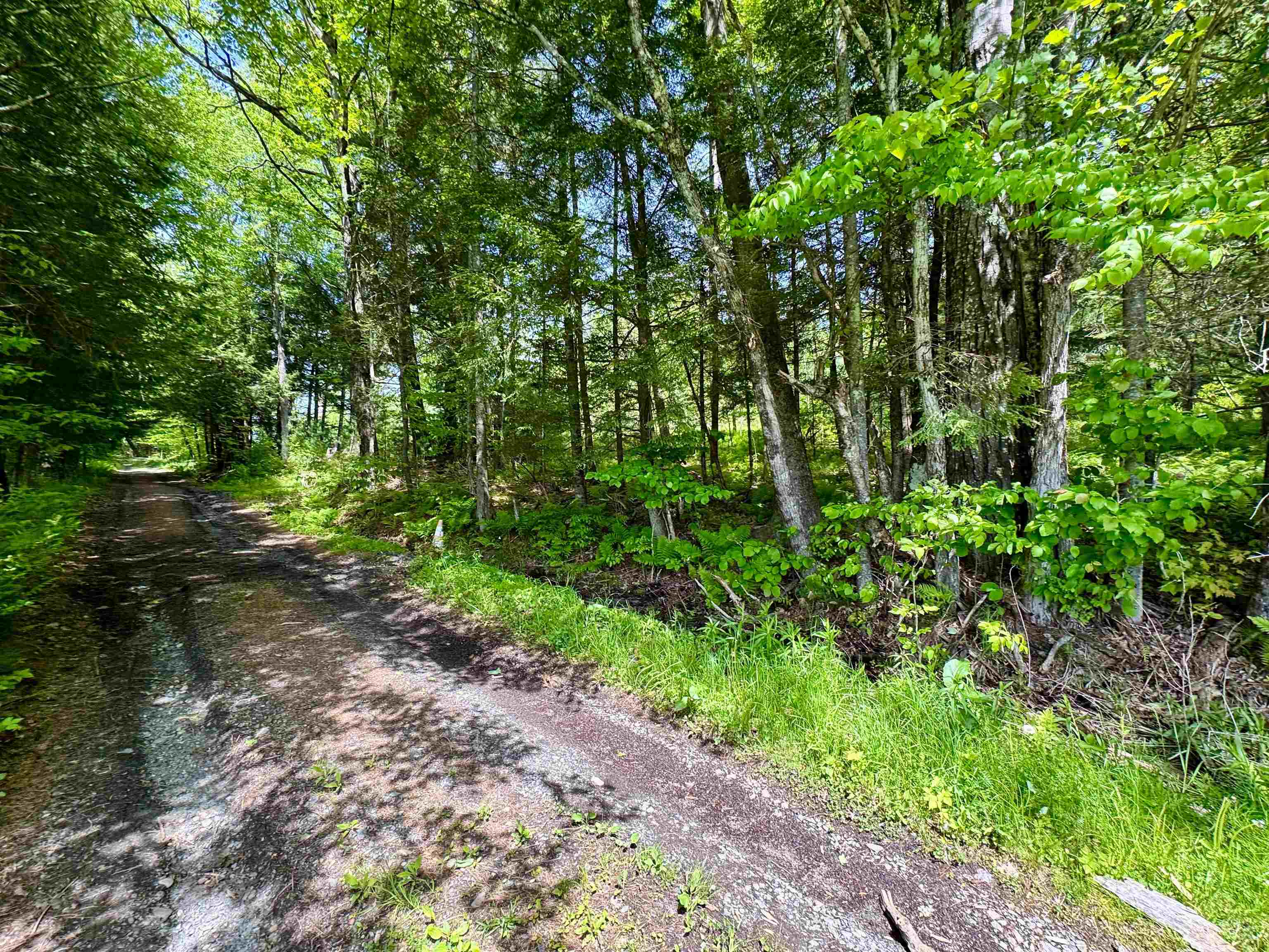 0 Mink Hill Road Bradford, VT 05033 - Photo 1 of 10