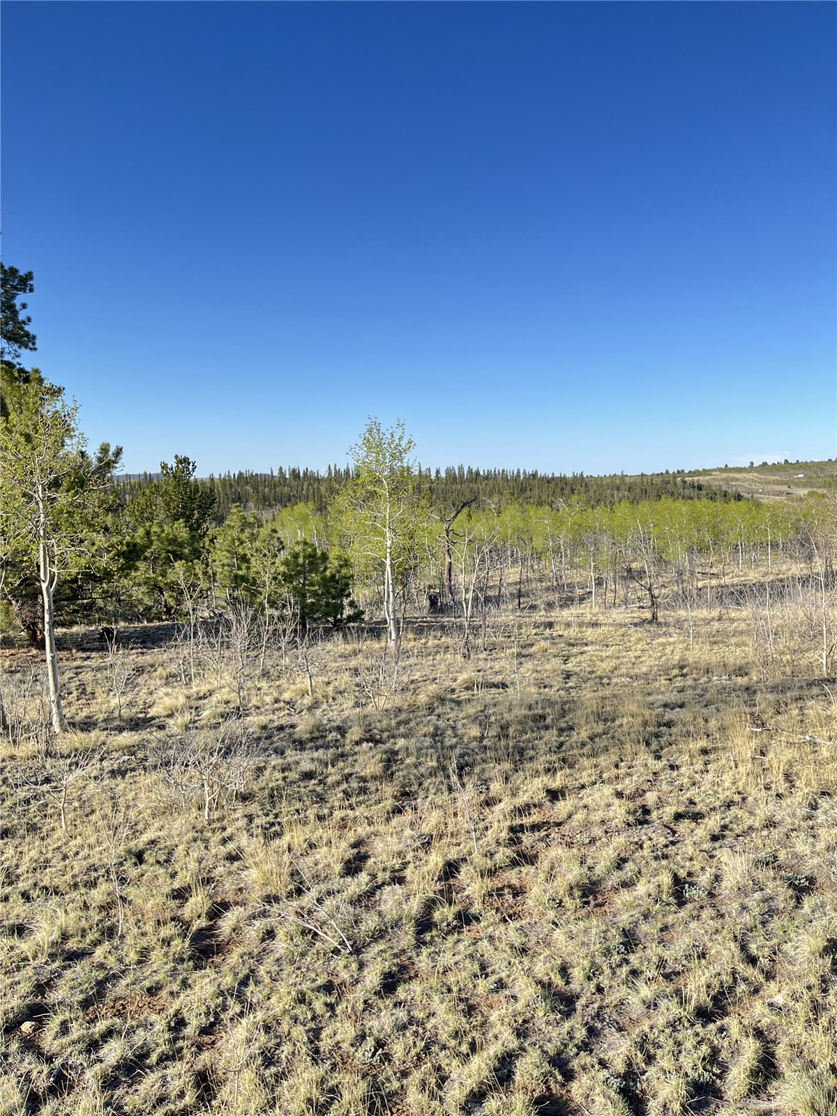 12 Loon Lane Como, CO 80432 - Photo 16 of 31