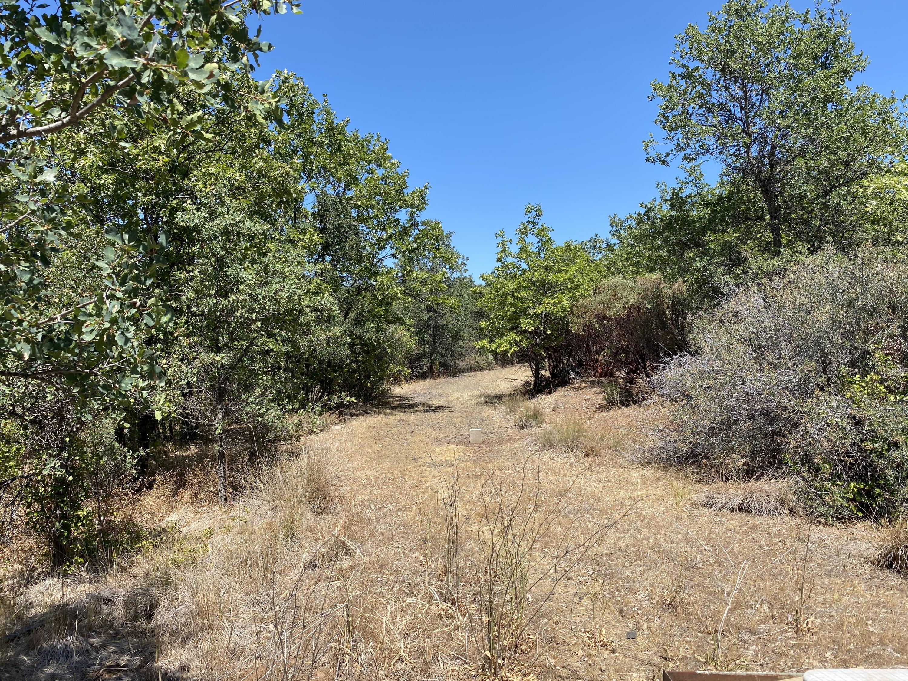18190 Patterson Ranch Road Round Mountain, CA 96084 - Photo 24 of 33 LAND