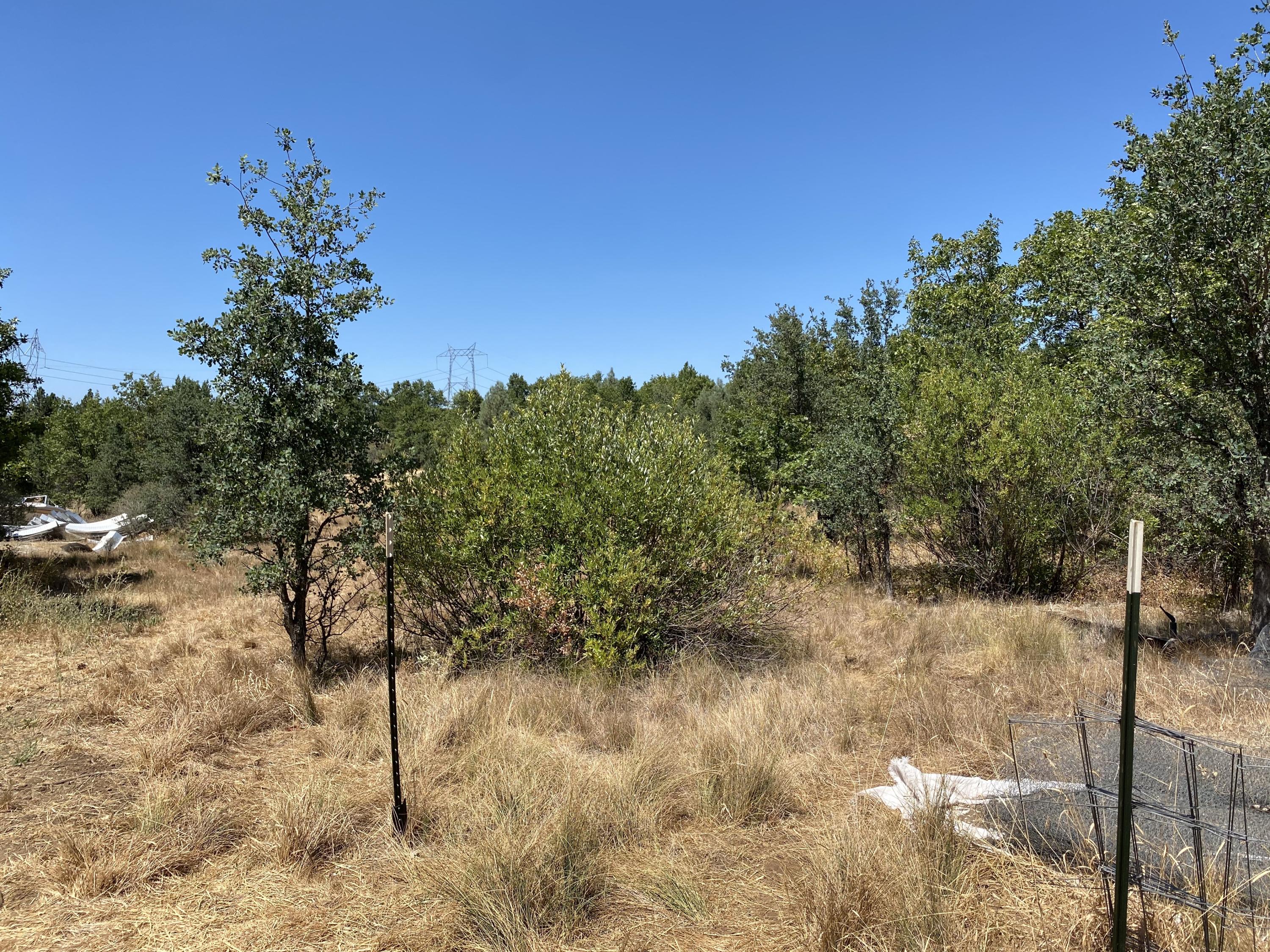 18190 Patterson Ranch Road Round Mountain, CA 96084 - Photo 29 of 33 LAND