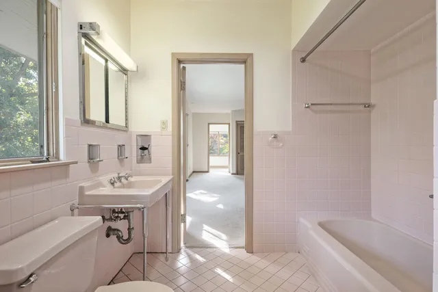 a view of a trees in a yard