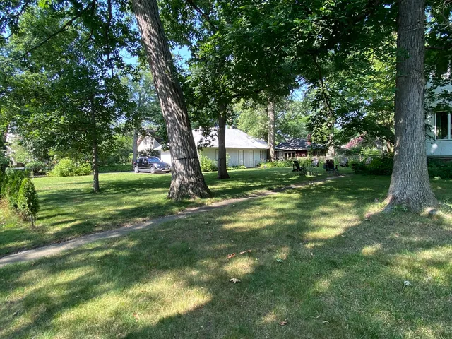 a view of a trees in a yard